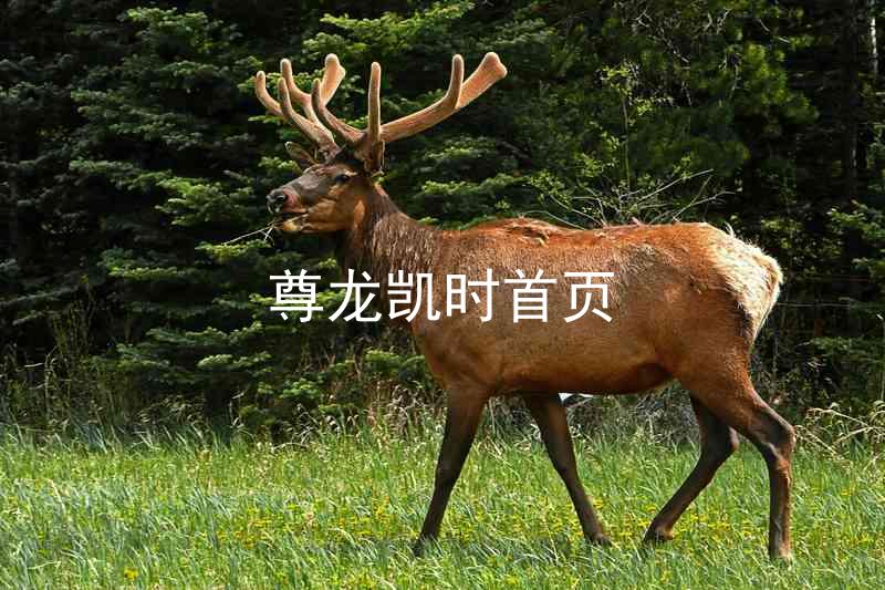 尊龙凯时首页